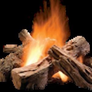 Meet your Posher, Niki